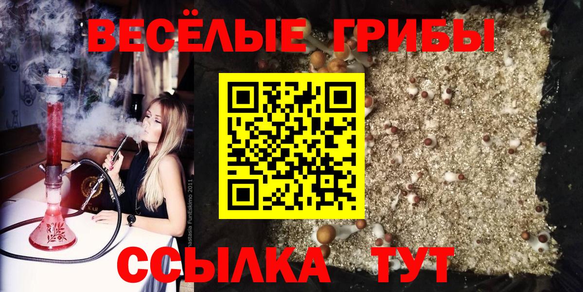 Галлюциногенные грибы ЛСД Кандалакша
