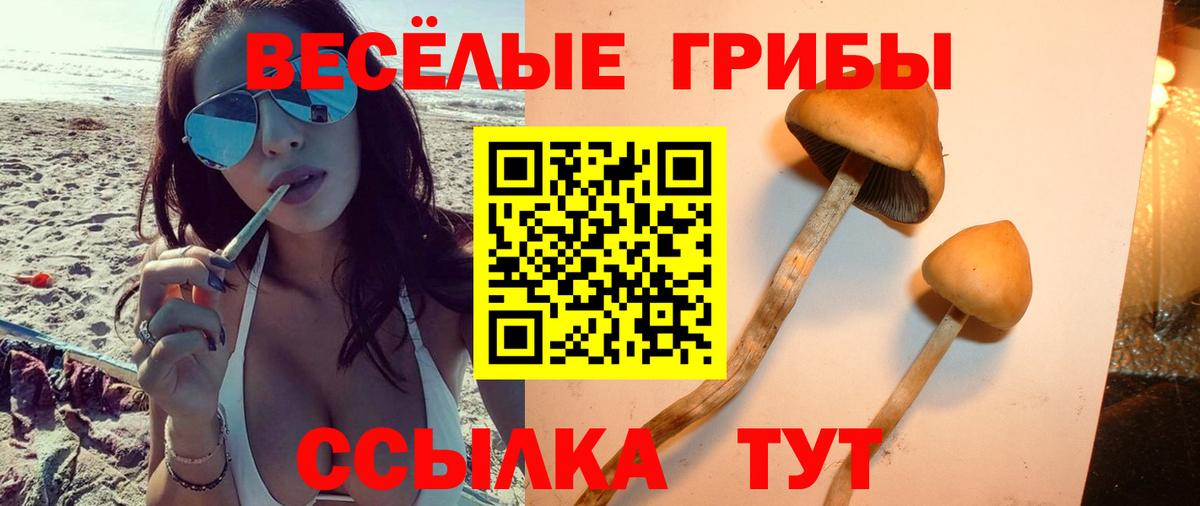 Галлюциногенные грибы мухоморы  Галлюциногенные грибы Magic Shrooms  Кандалакша  Вход с VPN 